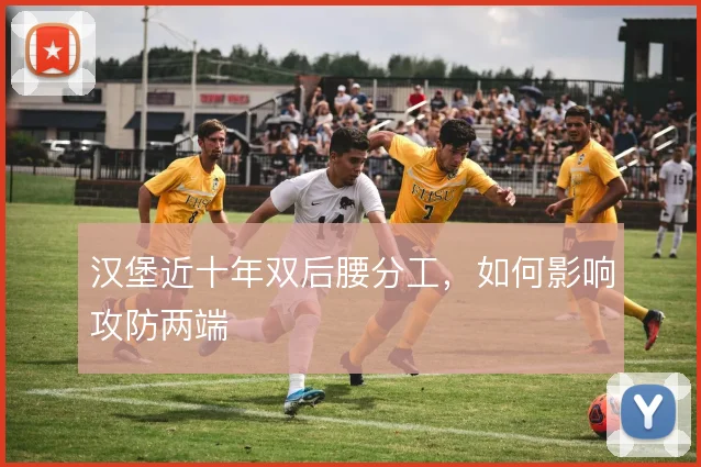 汉堡近十年双后腰分工,如何影响攻防两端