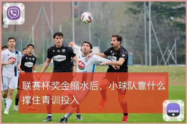 联赛杯奖金缩水后,小球队靠什么撑住青训投入