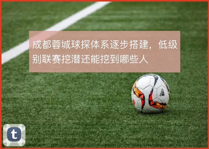成都蓉城球探体系逐步搭建，低级别联赛挖潜还能挖到哪些人